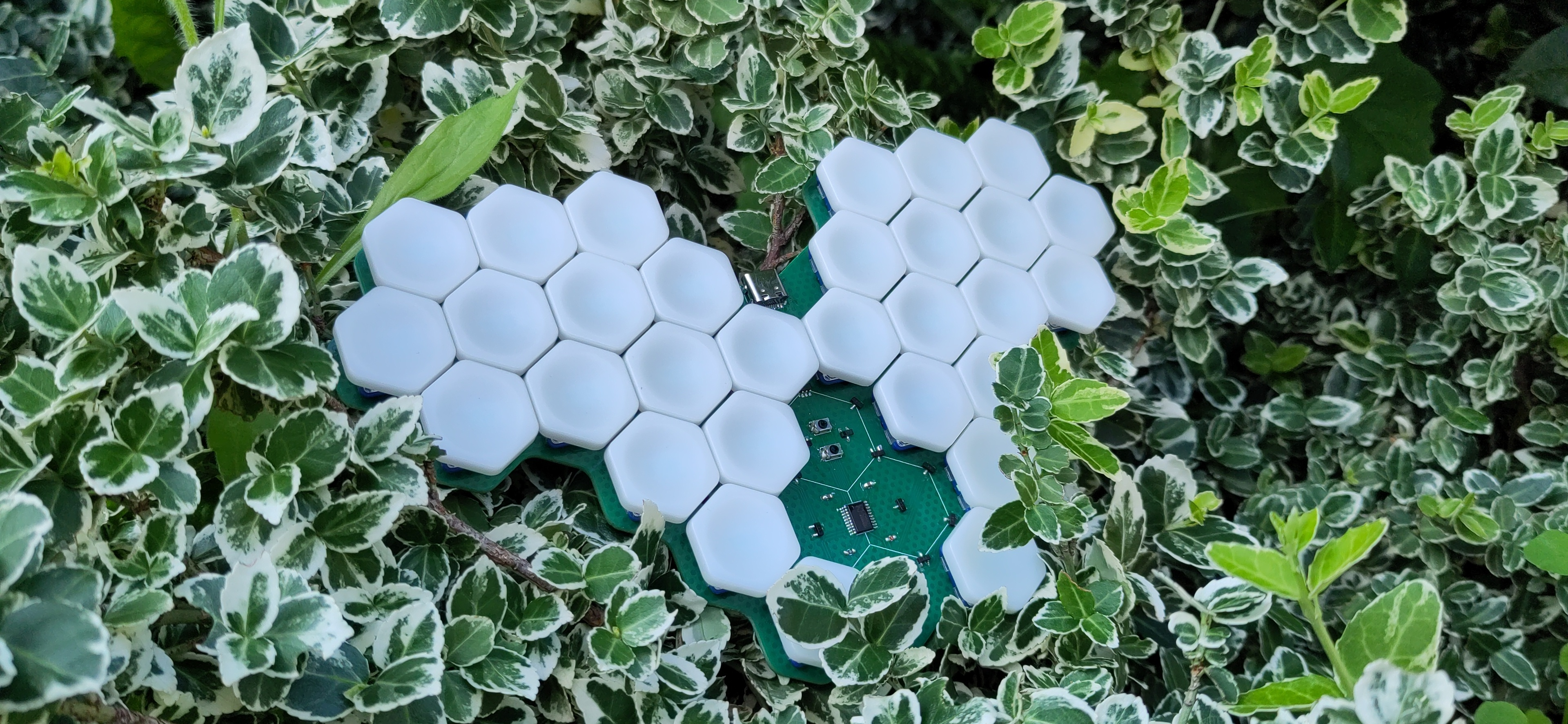 Small keyboard with 30 hexagonal keys is hiding in a bush. 