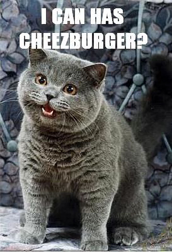 can I has cheeseburger