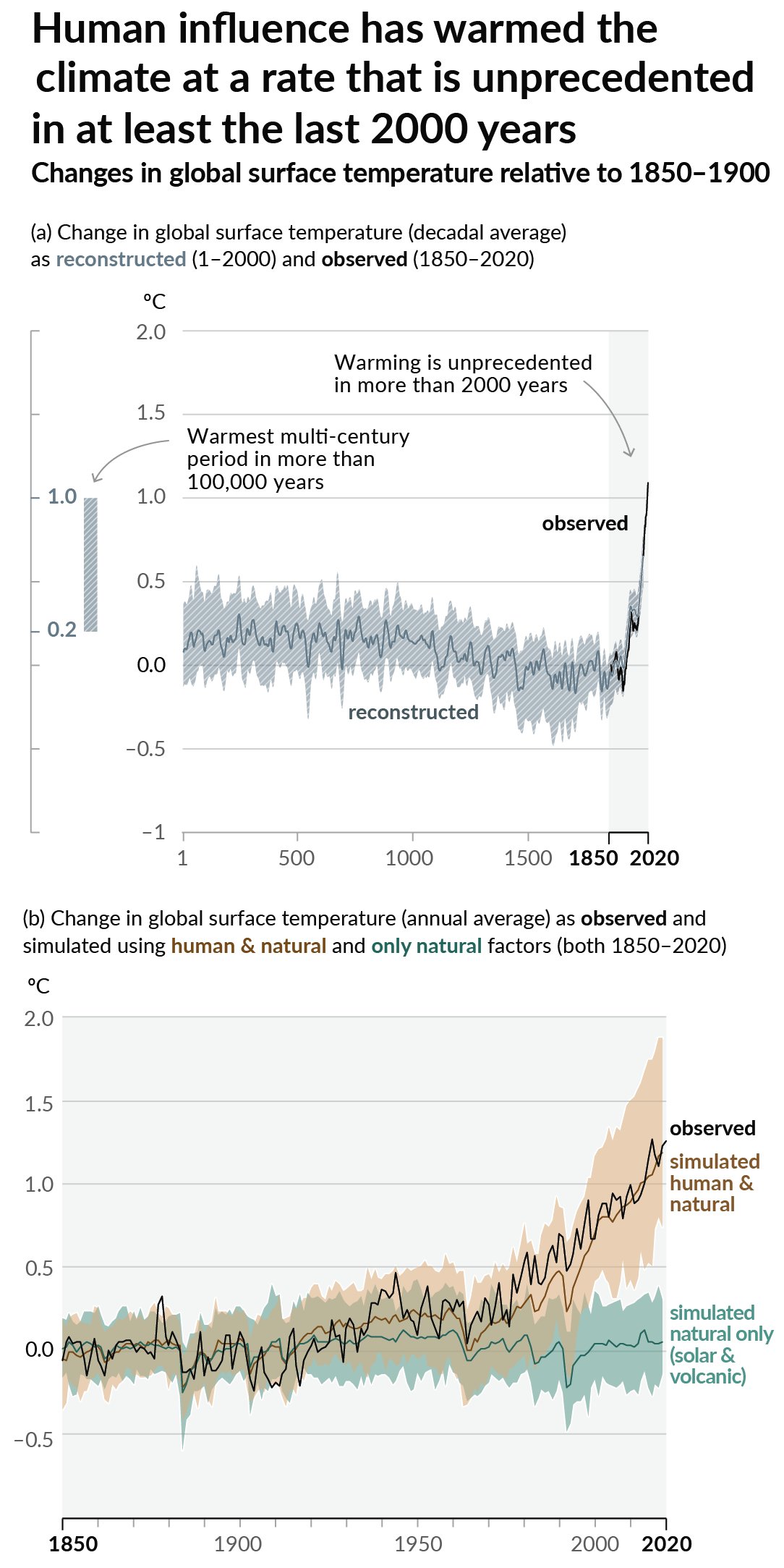 Graph of temperature as observed with significant warming, and simulated without added greenhouse gases and other anthropogentic changes, which shows no significant warming