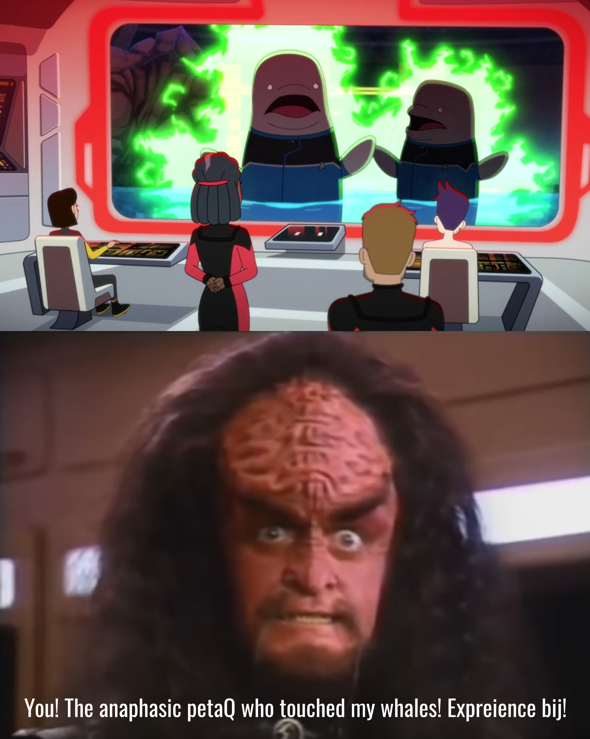 Matt and Kimolu scream in terror. As a result, a Klingon tells the anaphasic presence to experience bij.