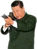 xi-gun